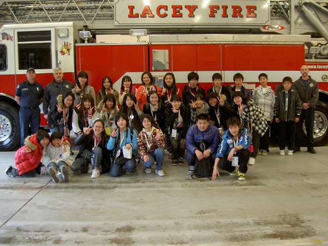 Lacey 329
